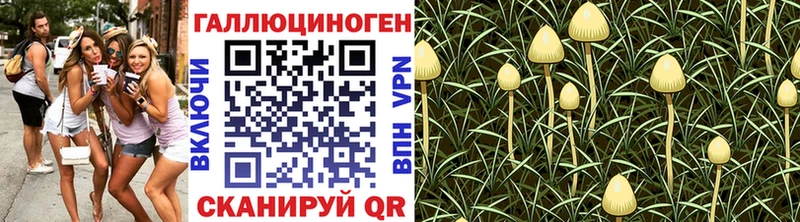 Псилоцибиновые грибы GOLDEN TEACHER  Гусиноозёрск 