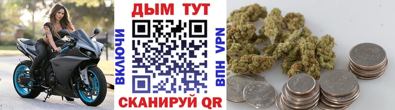 цены Гусиноозёрск Шишки марихуана Amnesia